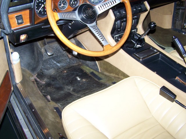 100_8036.JPG