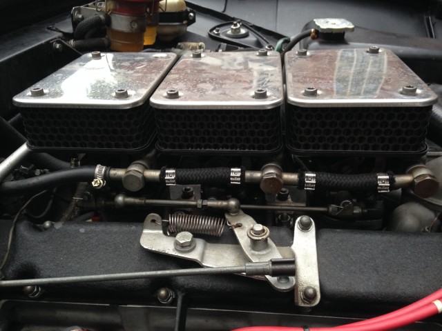 IMG_0557.JPG (1.6 MiB) Viewed 4709 times IMG_0557.JPG