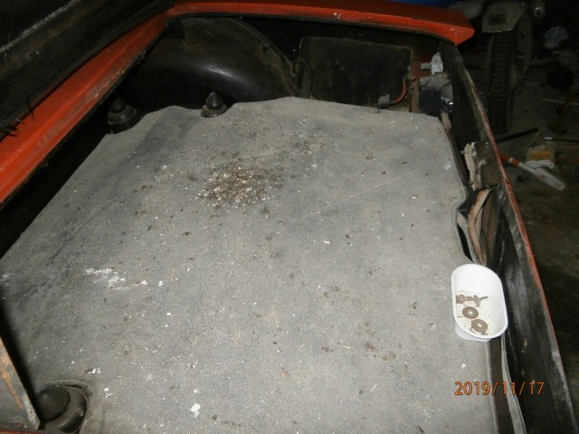 PB170017.JPG
